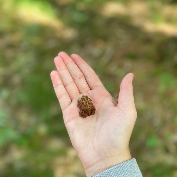 Meet your Posher, Patricia - Picture 5 of 13